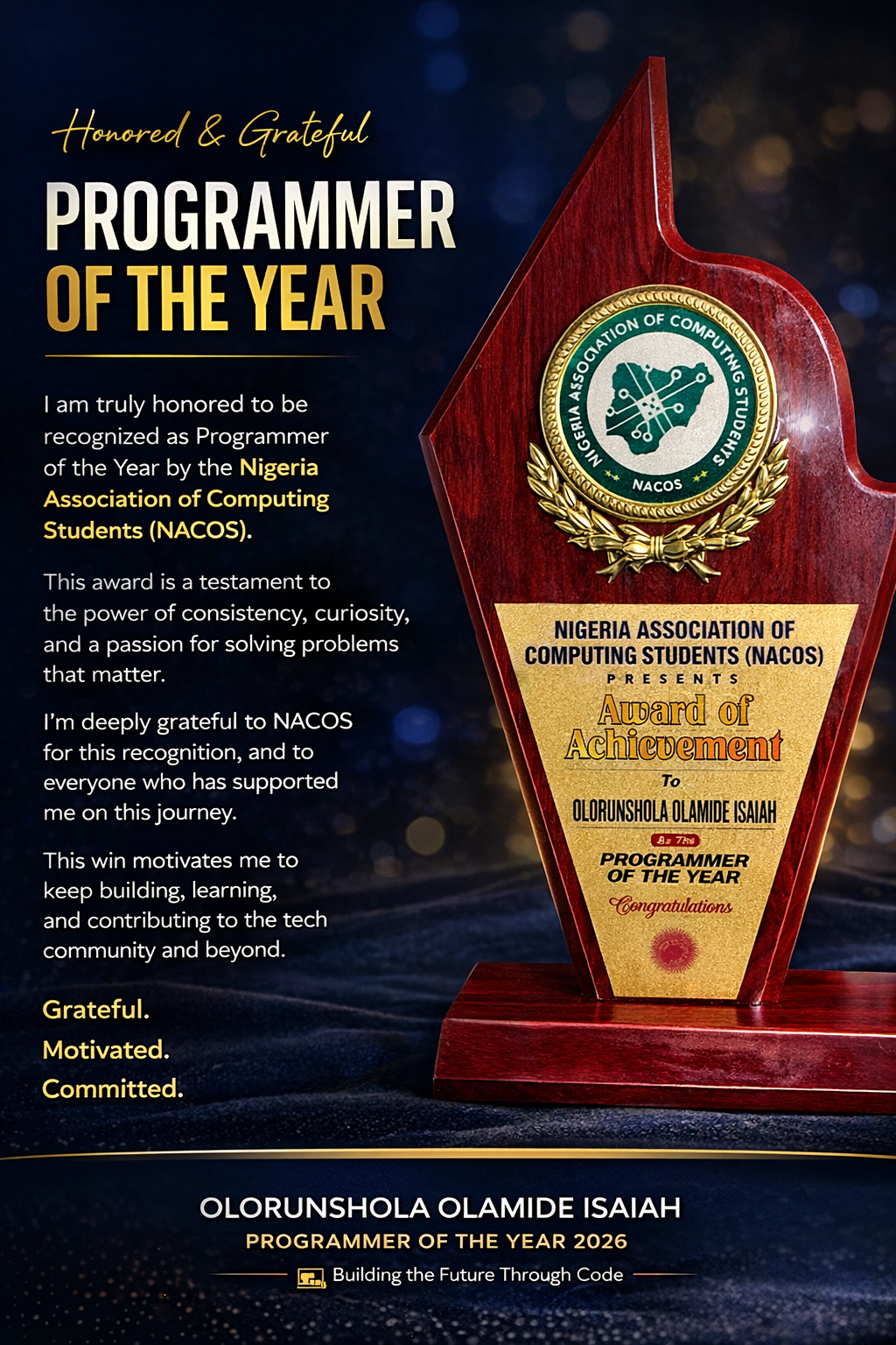 Programmer of the Year Award